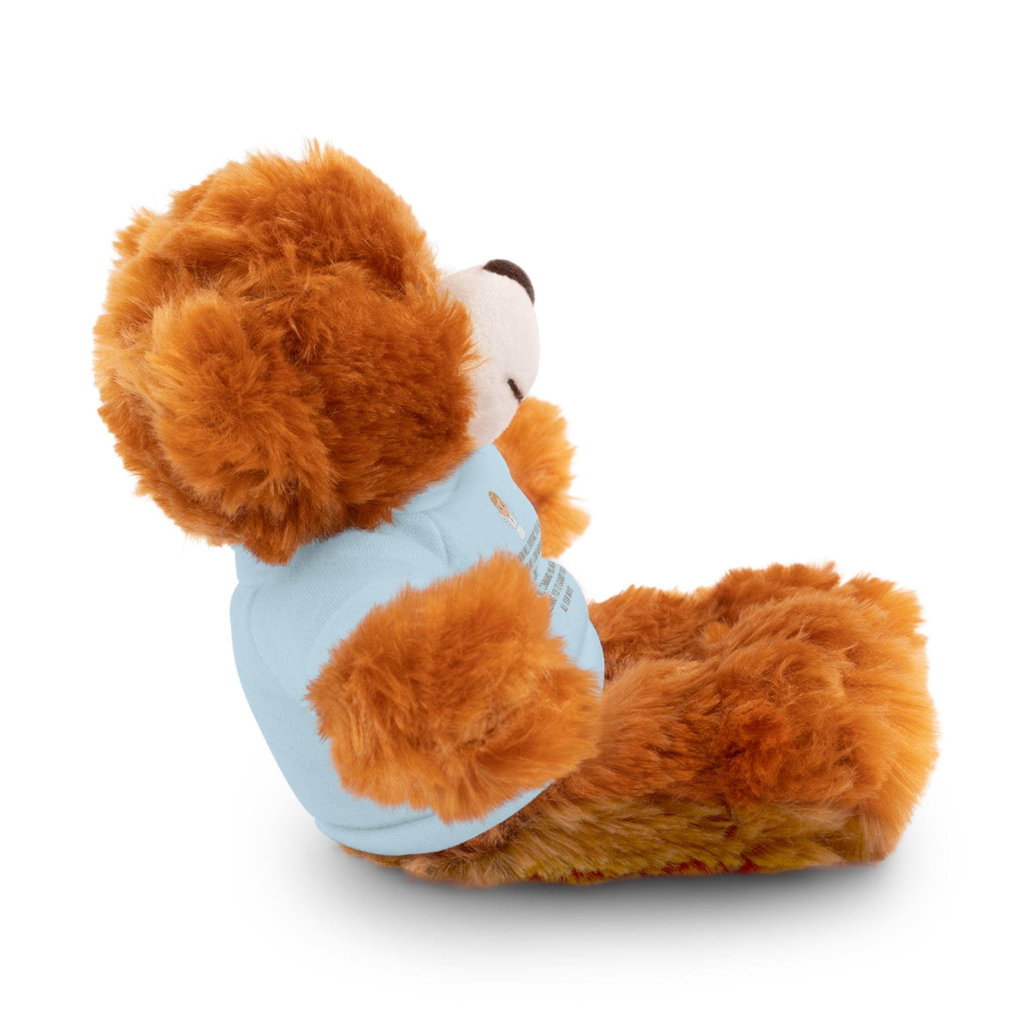 Psalms 91 Stuffed Animals with Tee