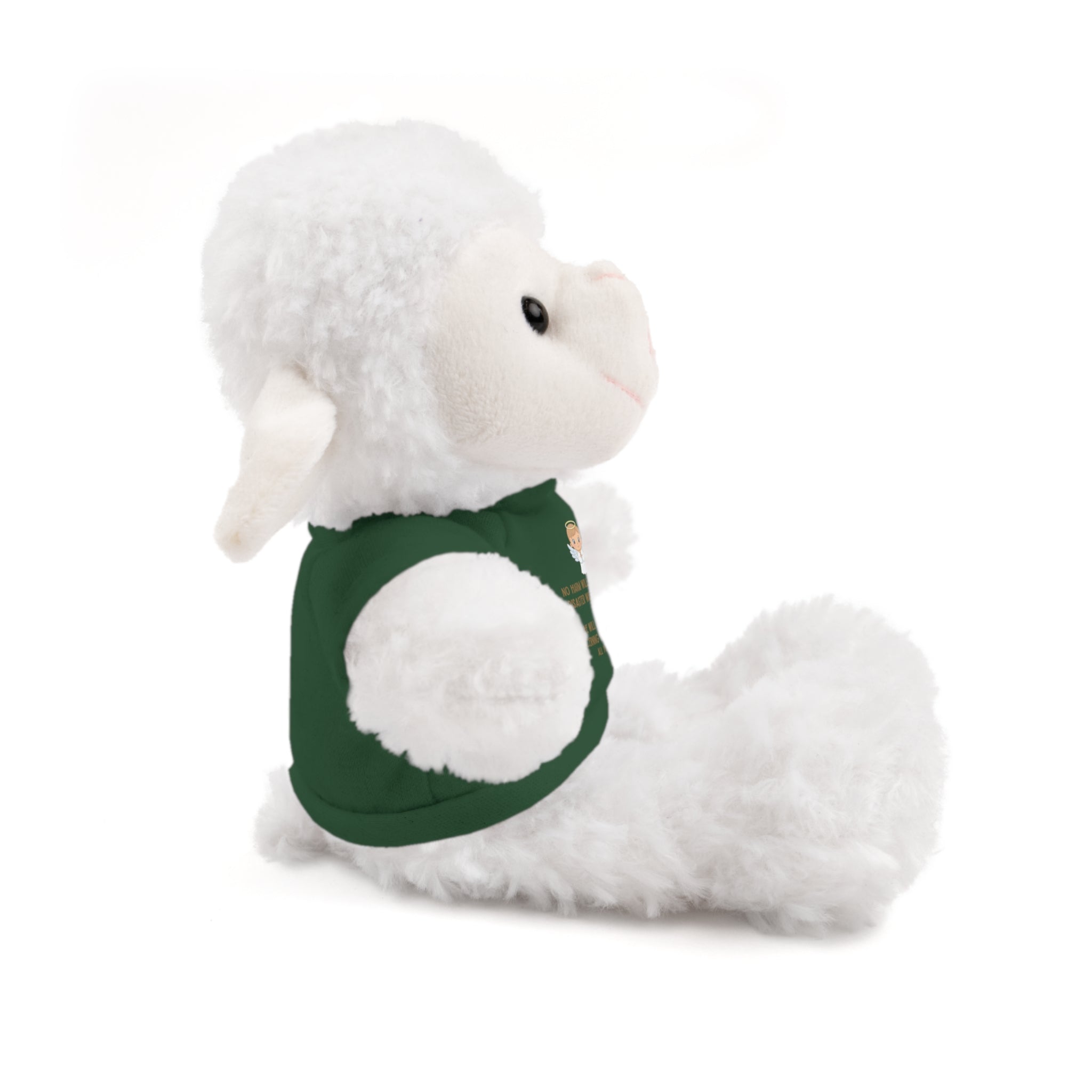 Psalms 91 Stuffed Animals with Tee