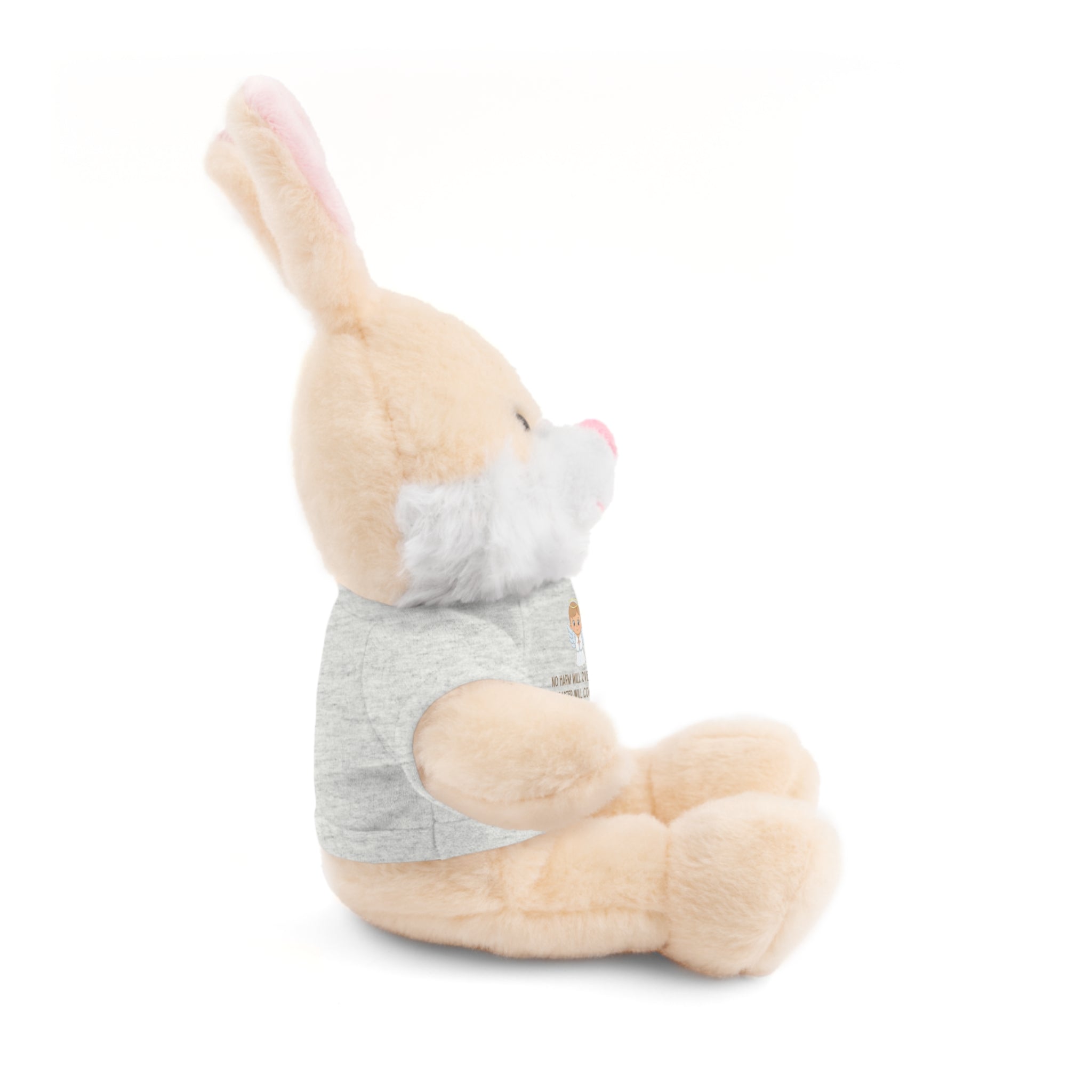 Psalms 91 Stuffed Animals with Tee