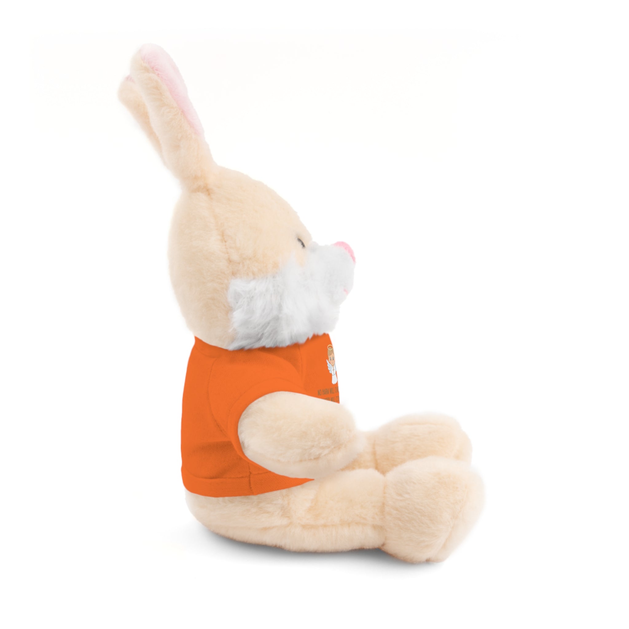 Psalms 91 Stuffed Animals with Tee