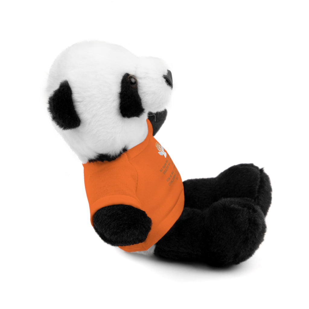 Psalms 91 Stuffed Animals with Tee