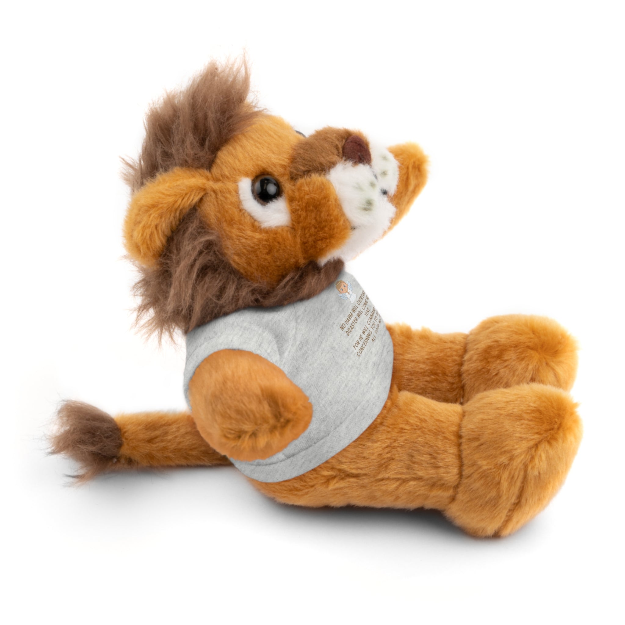 Psalms 91 Stuffed Animals with Tee