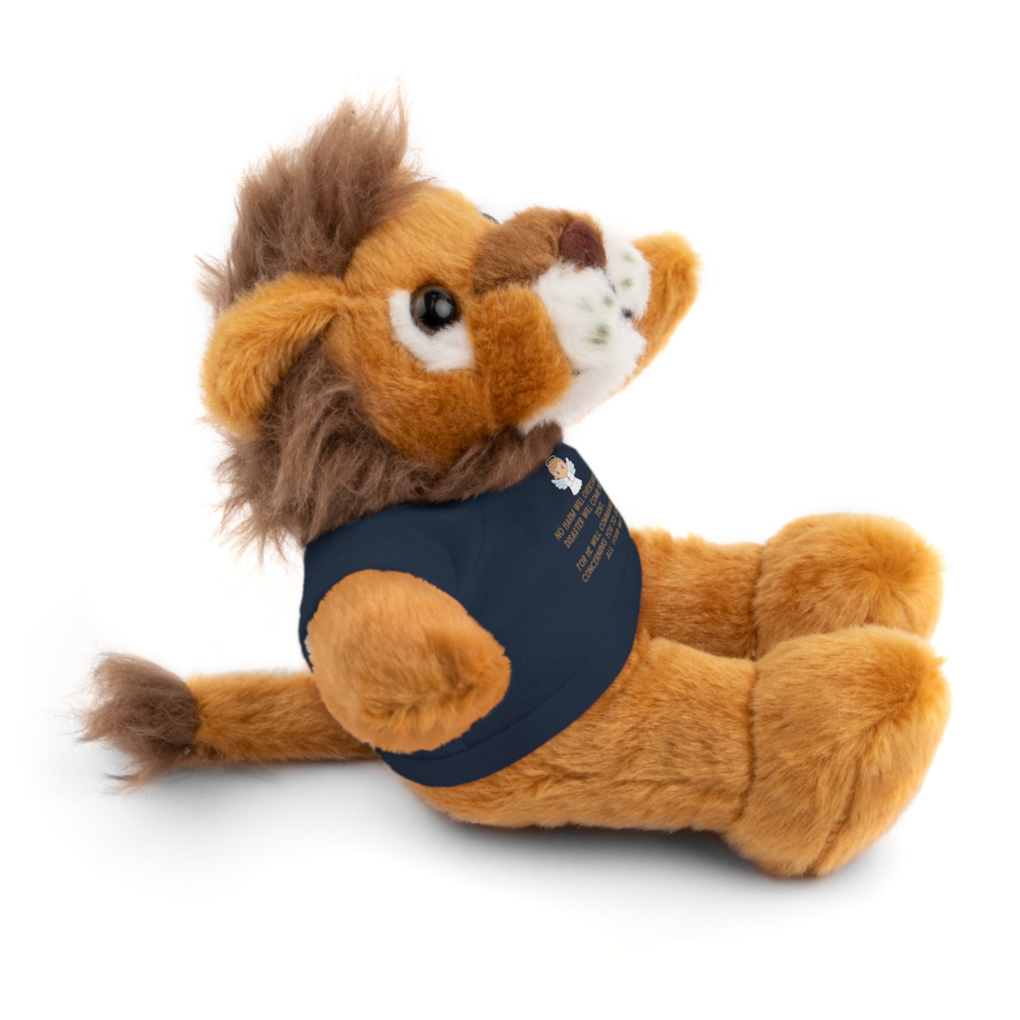 Psalms 91 Stuffed Animals with Tee