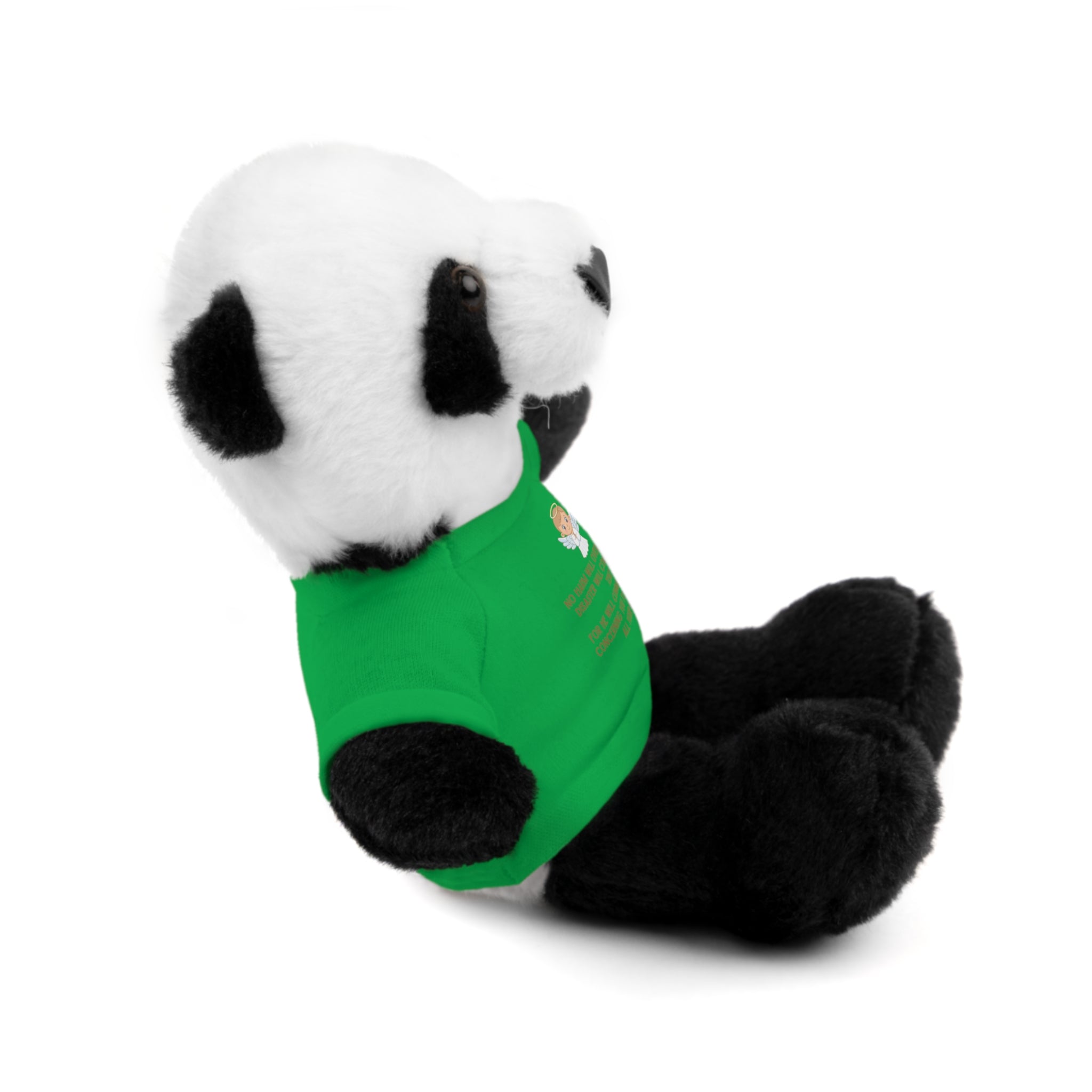 Psalms 91 Stuffed Animals with Tee