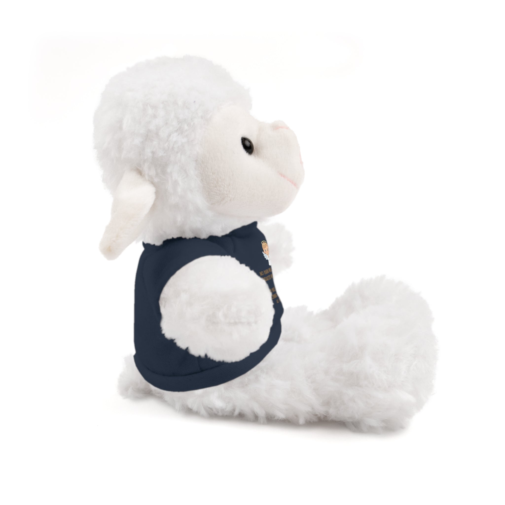 Psalms 91 Stuffed Animals with Tee