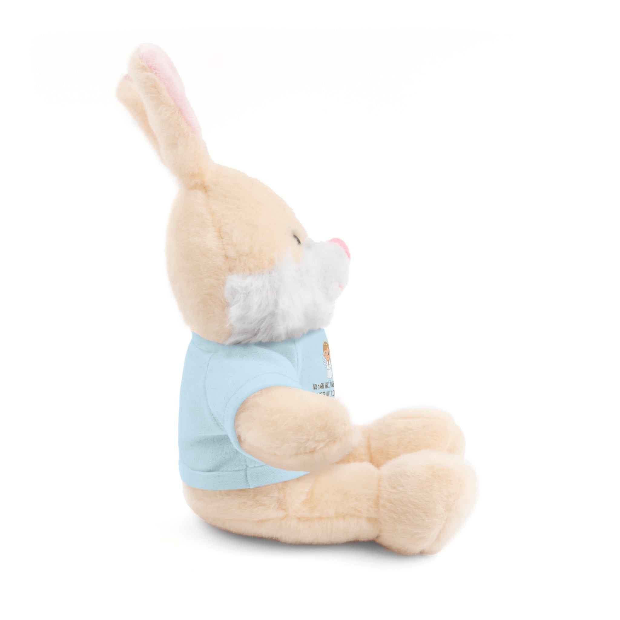 Psalms 91 Stuffed Animals with Tee