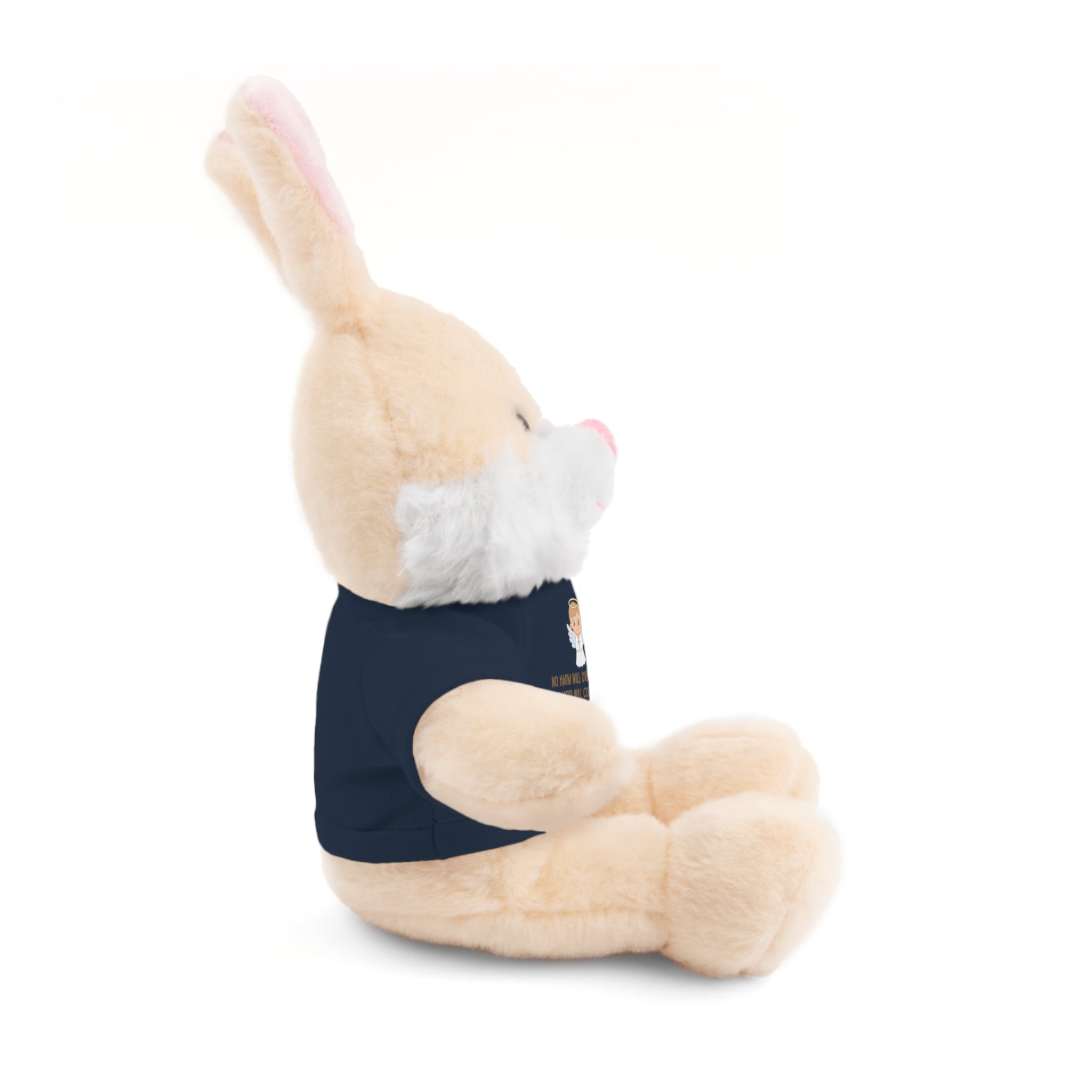 Psalms 91 Stuffed Animals with Tee