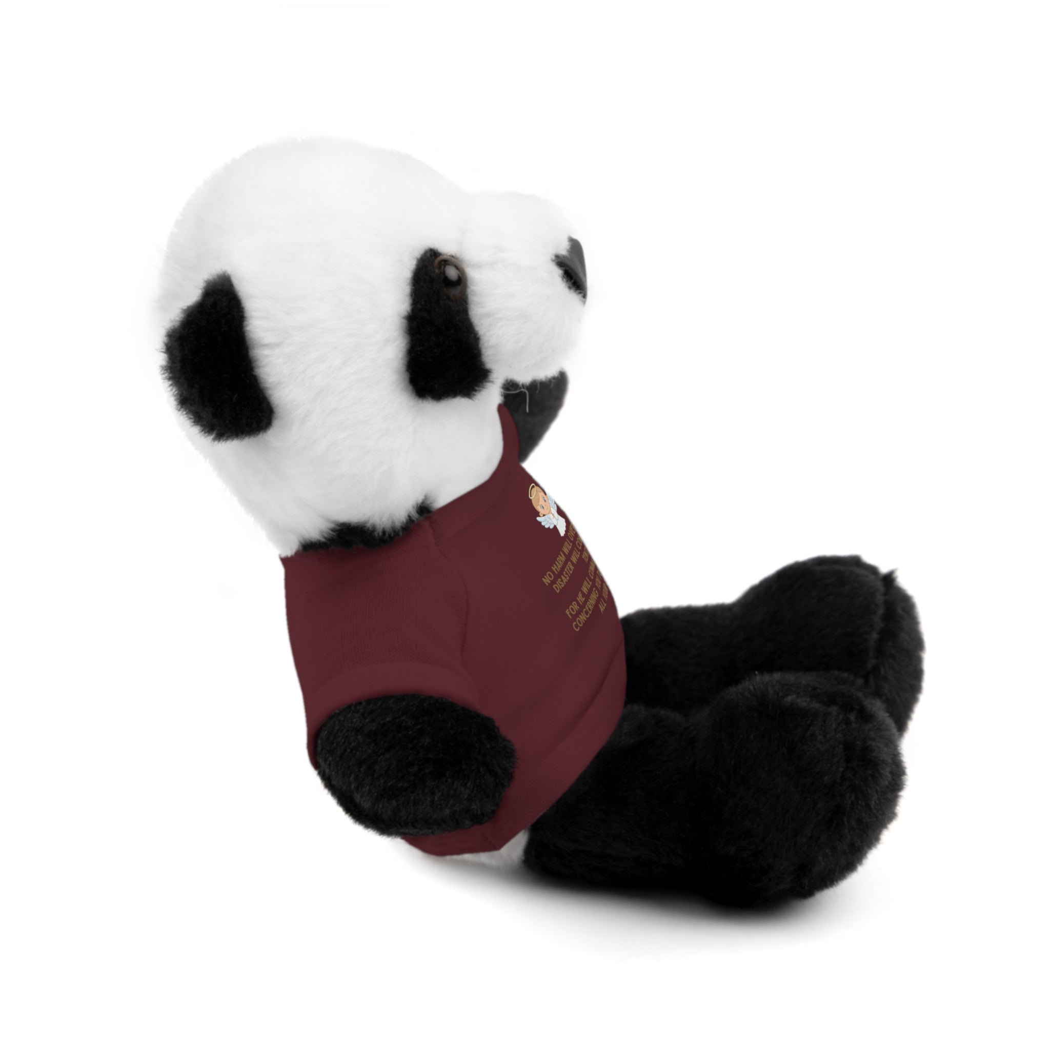 Psalms 91 Stuffed Animals with Tee