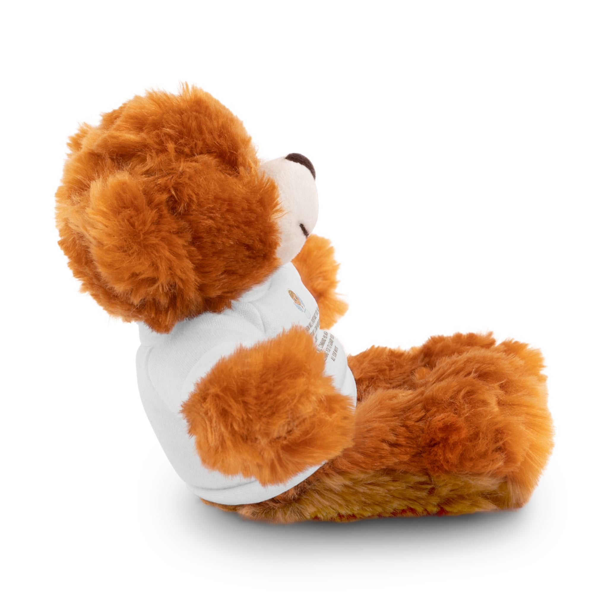 Psalms 91 Stuffed Animals with Tee