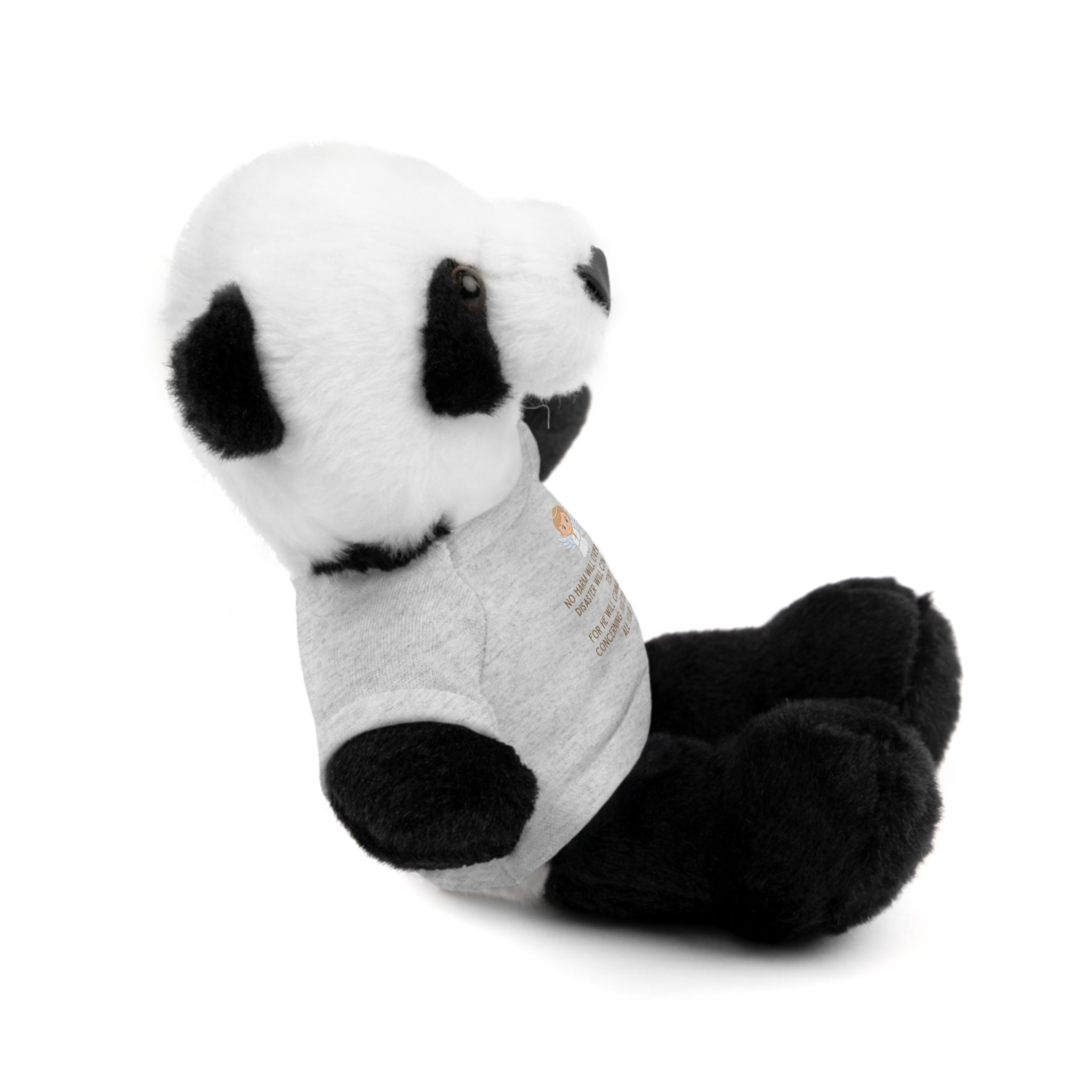 Psalms 91 Stuffed Animals with Tee