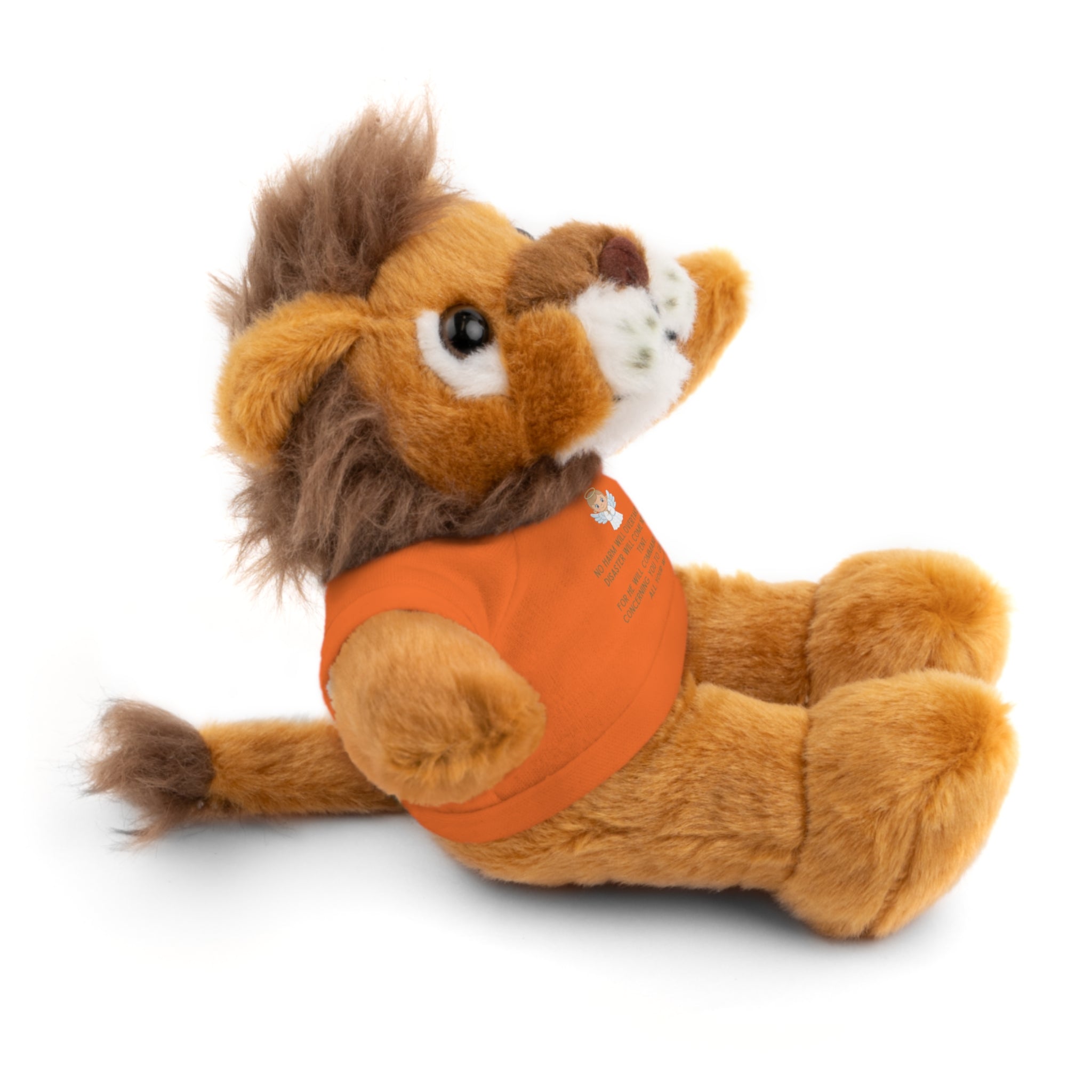 Psalms 91 Stuffed Animals with Tee