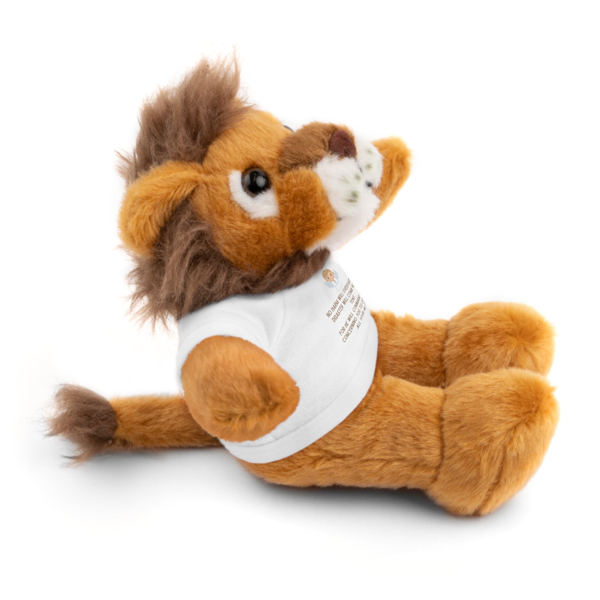 Psalms 91 Stuffed Animals with Tee