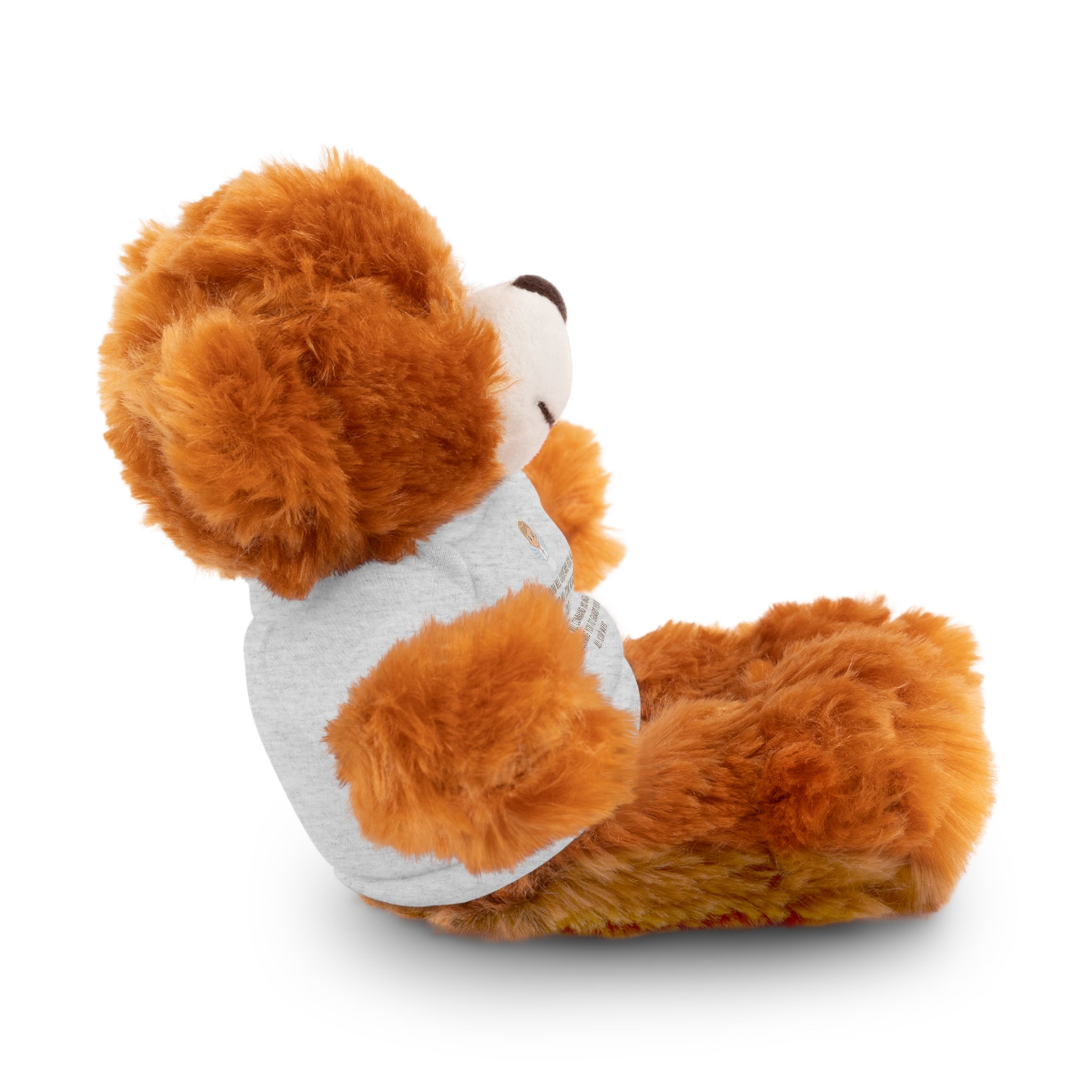 Psalms 91 Stuffed Animals with Tee