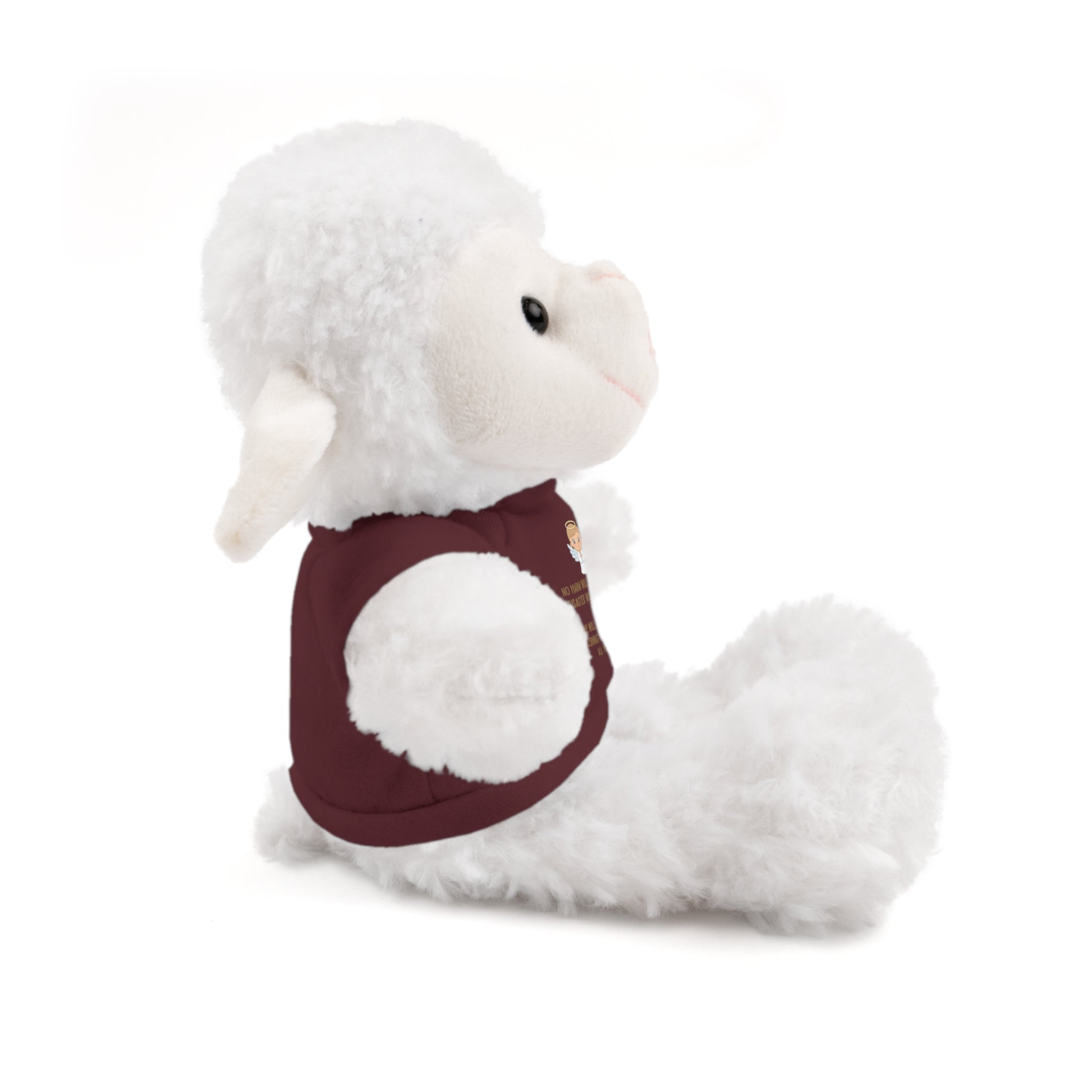 Psalms 91 Stuffed Animals with Tee