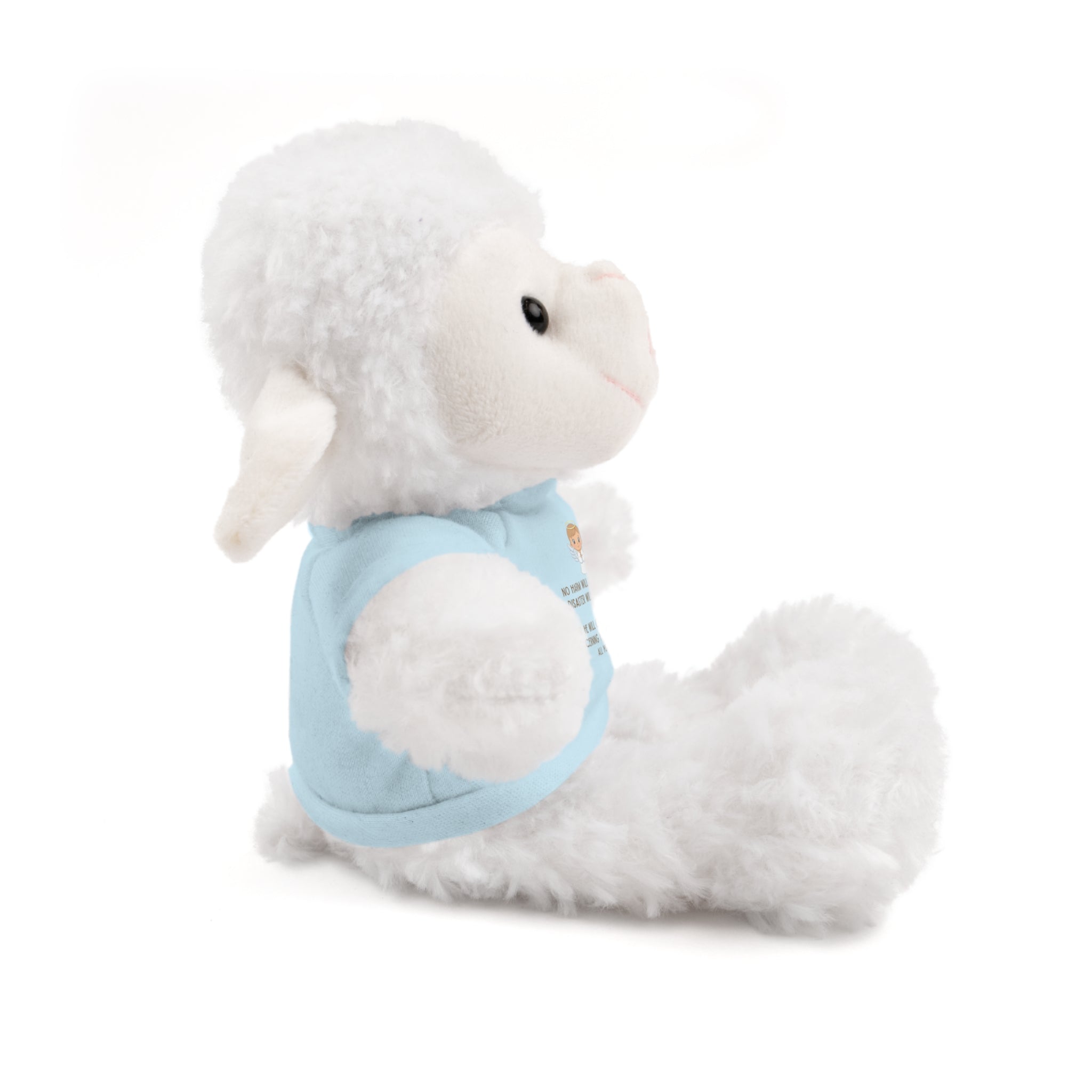 Psalms 91 Stuffed Animals with Tee